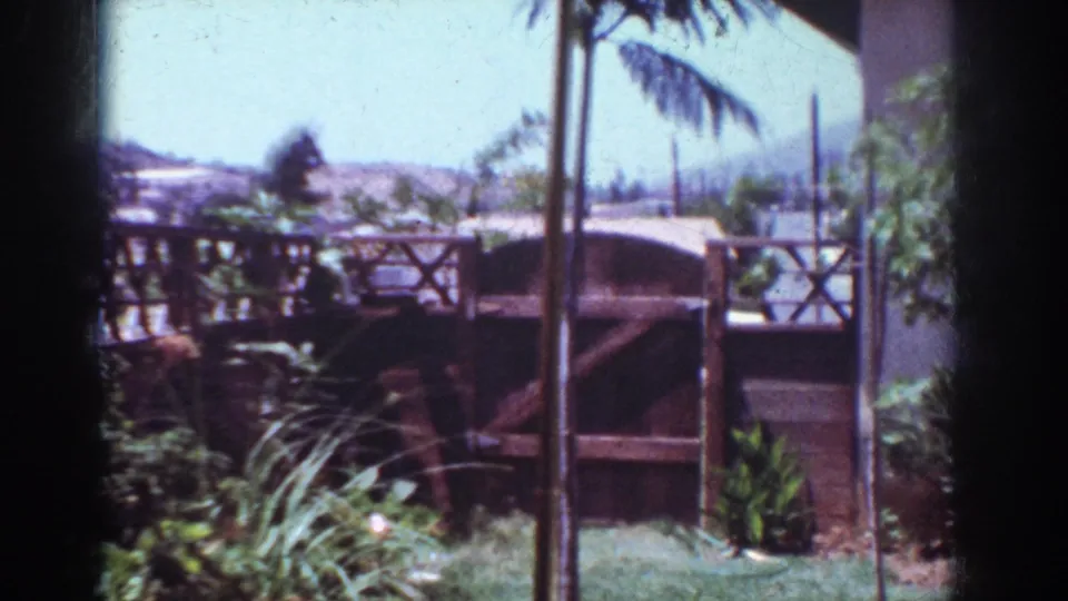 1962 Yorba Linda outdoor home-movie frame showing a wooden shed or gate, backyard plants, palm fronds, and distant low hills.