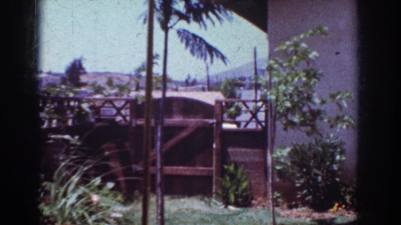 1962 Yorba Linda backyard view with a wooden gate, tropical planting, stucco house wall, and hills beyond the yard.