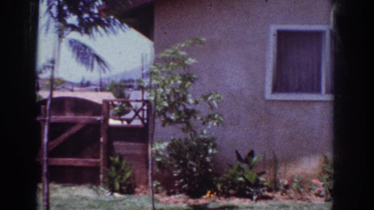 Yorba Linda home exterior with a curtained window, wood gate, planted shrubs, and palm shadows in 1962 home-movie footage.