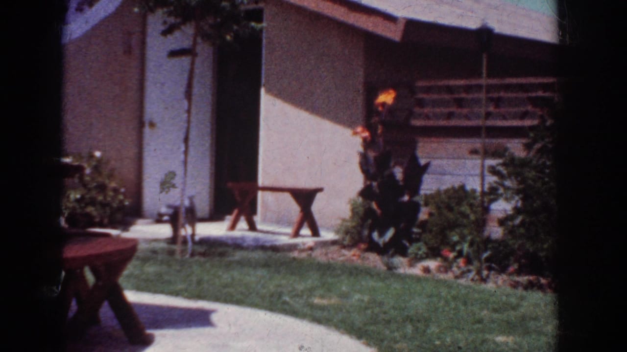 1962 Yorba Linda backyard view with green lawn, concrete path, house exterior, shrubs, wooden bench, and dogs near the patio.