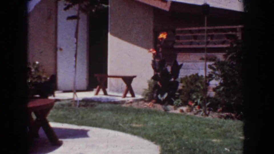 1962 Yorba Linda backyard scene with a dark dog by the patio, wooden bench, lawn, concrete path, shrubs, and house exterior.