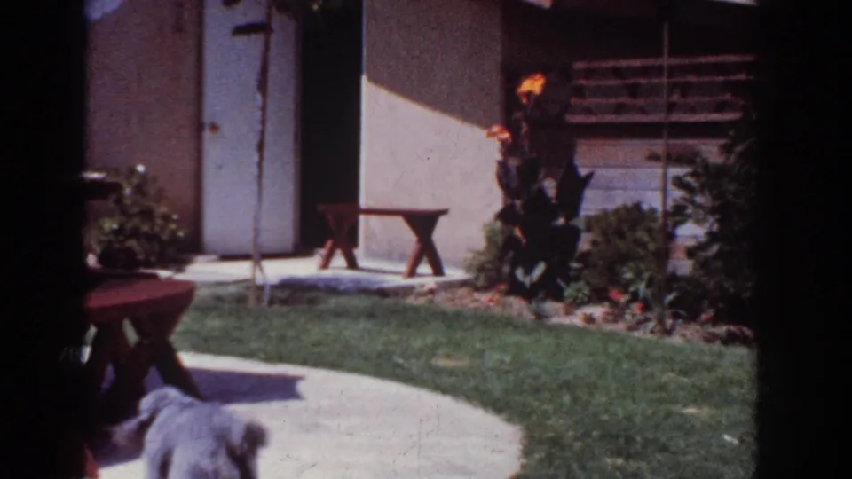 1962 Yorba Linda frame with a fluffy gray dog running into the foreground across a sunny backyard lawn and path.