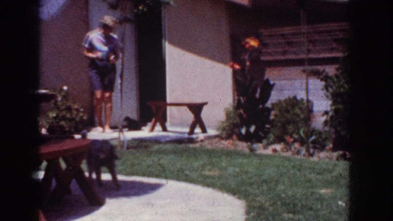 1962 Yorba Linda home-movie frame showing an adult by a house entrance as small black dogs move around the lawn and patio.