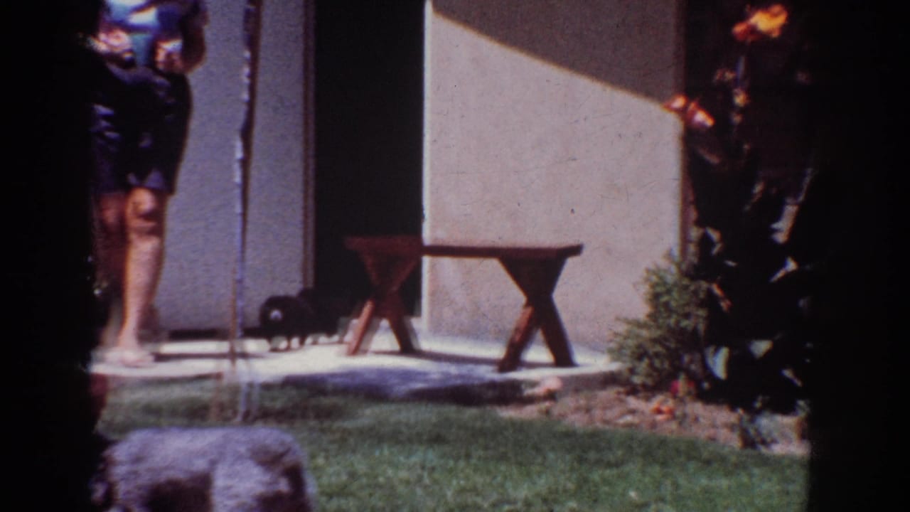 1962 Yorba Linda backyard frame with an adult on the patio and a small black dog moving across the lawn.