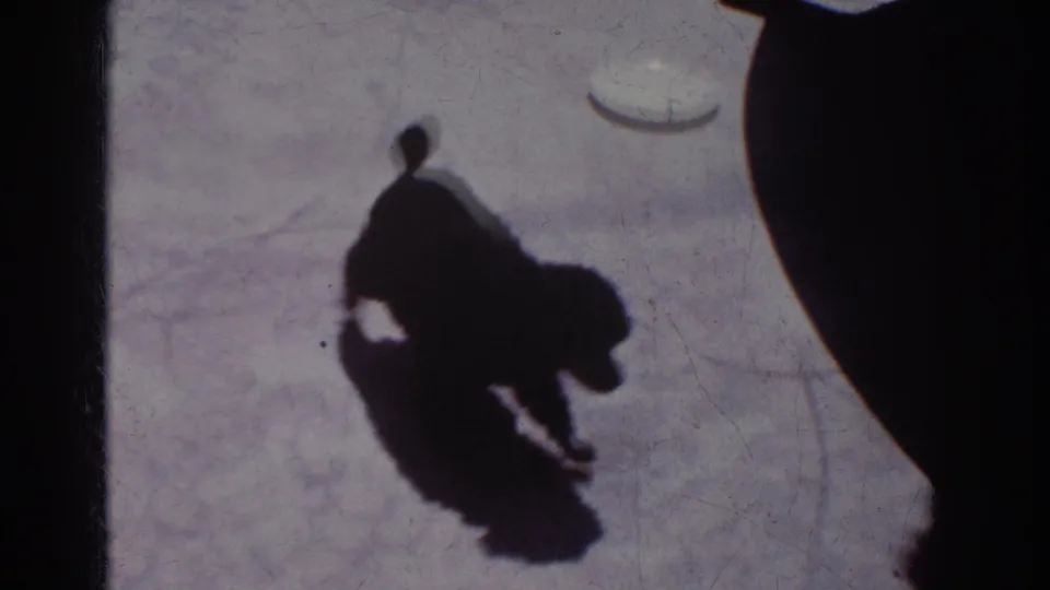A single fluffy black puppy stands on the concrete patio, casting a clear shadow in 1962 home-movie footage.