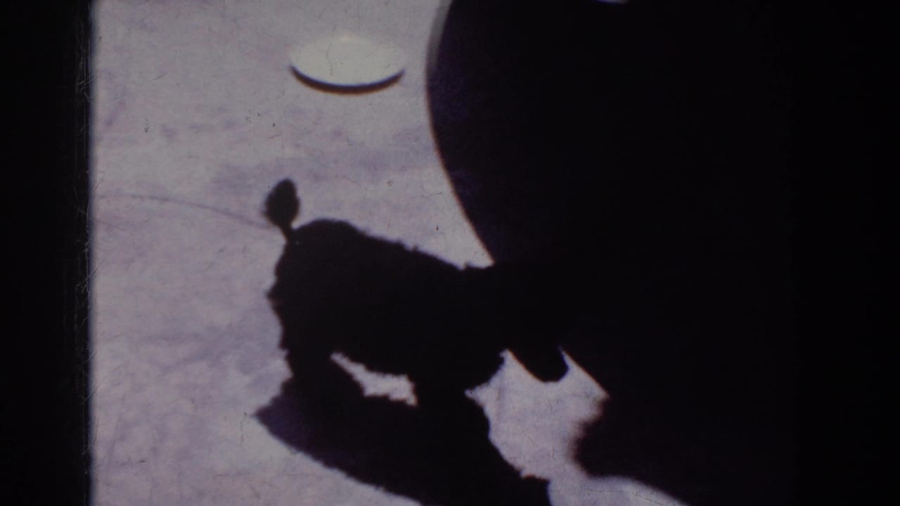 In supported 1962 Yorba Linda home-movie footage, a small curly-haired dog appears as a dark silhouette on a light floor.