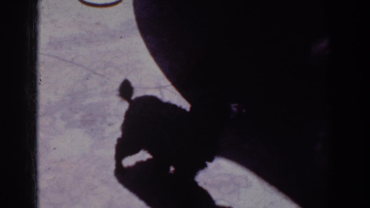 The dog’s dark profile shifts near a large rounded shadow across the light floor in this 1962 Yorba Linda 8mm frame.