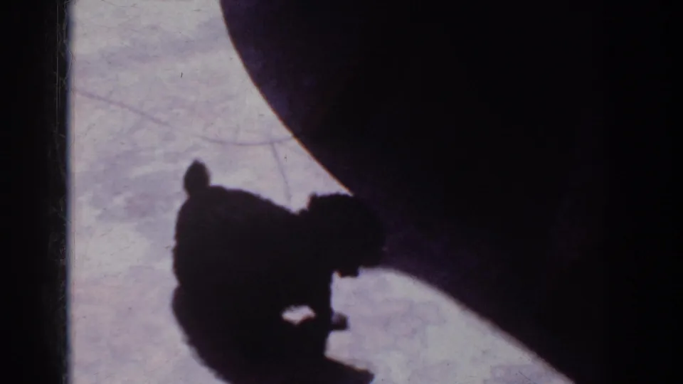 A small poodle-like dog appears in silhouette near the lower frame while strong shadow fills the right side.