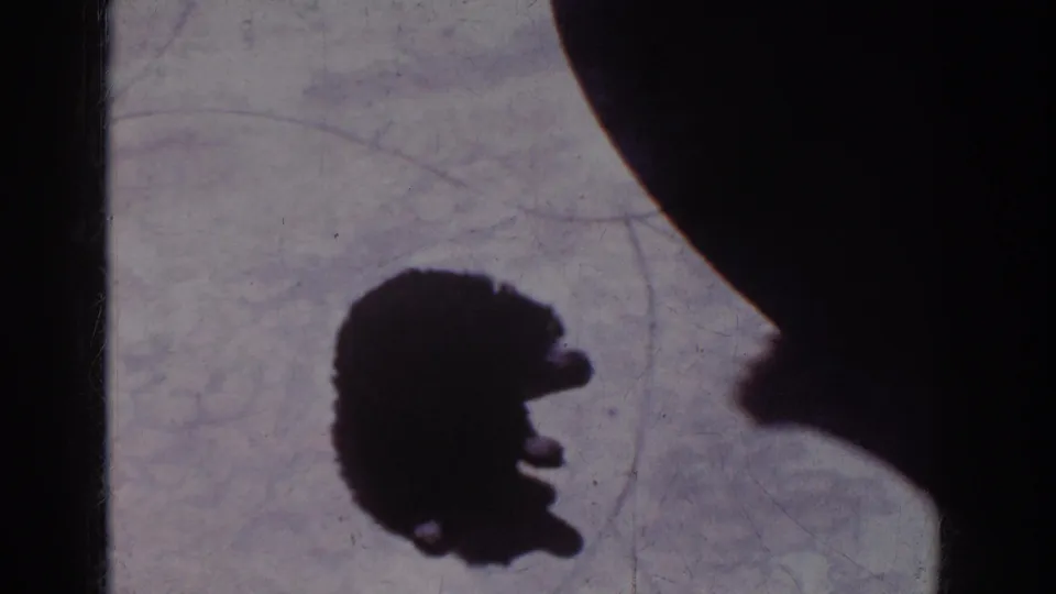 The home-movie frame continues the shadow play, with the puppy silhouette near the adult's profile shadow in strong light.