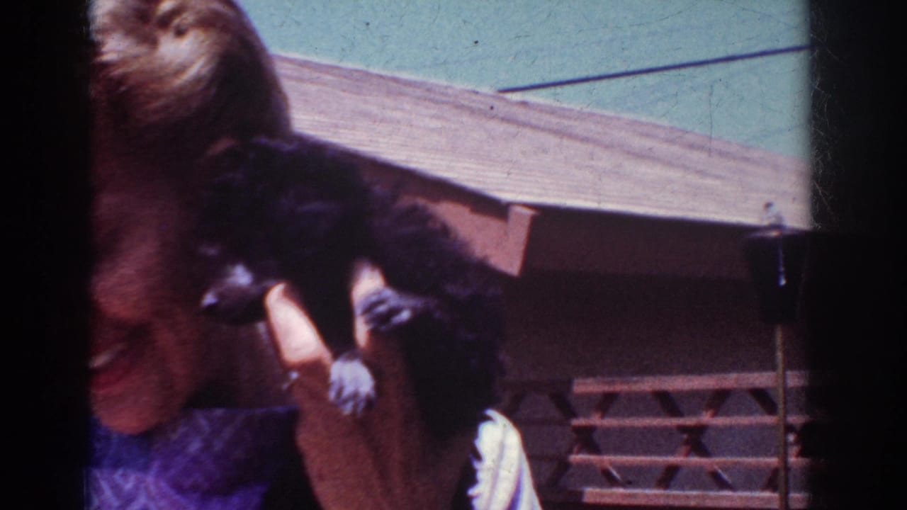 Person holding a small black poodle puppy outdoors near wood siding and lattice fencing.