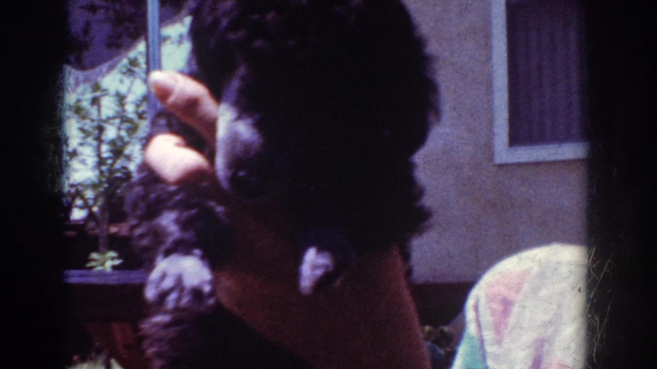 1962 Yorba Linda home-movie frame showing a small black poodle puppy being held near a person’s hand beside a sunlit window.