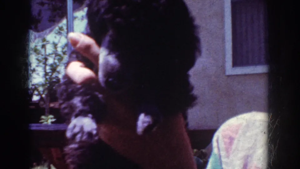 1962 Yorba Linda home-movie frame showing a small black poodle puppy being held near a person’s hand beside a sunlit window.