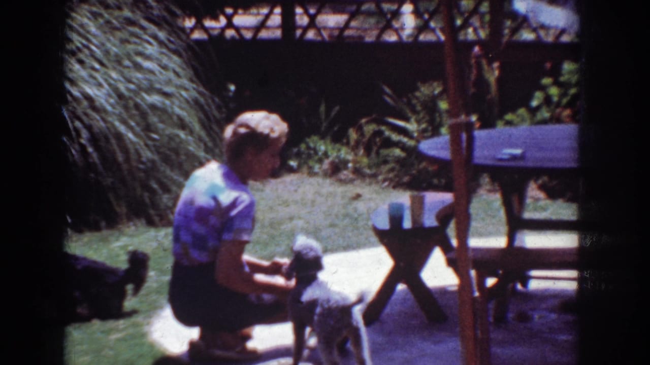 Woman crouching on a patio and reaching toward a small poodle near a shaded table.