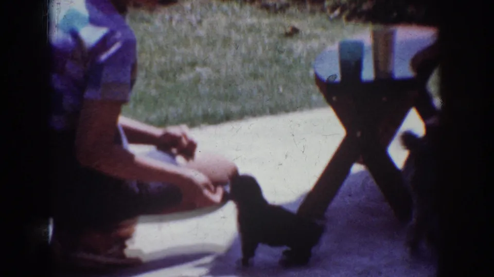 Closer 8mm frame of the woman kneeling near a small dog on a sunlit patio in the Yorba Linda backyard scene.