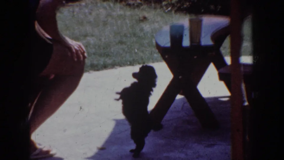 In the 1962 Yorba Linda patio scene, a small dog stands upright near the table as the woman remains partly in frame.