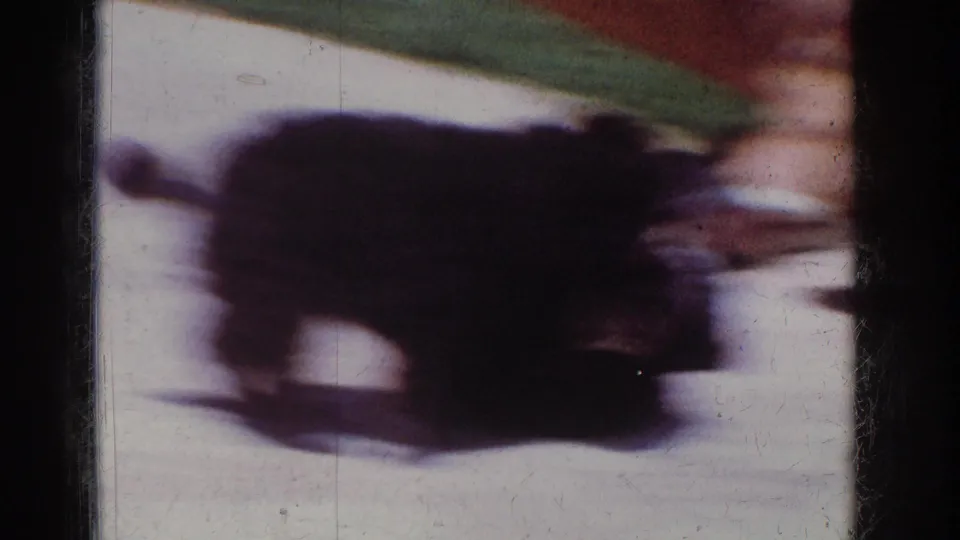 A small black puppy crosses the patio in motion blur, with a person’s bare legs partly visible in the 1962 home-movie frame.