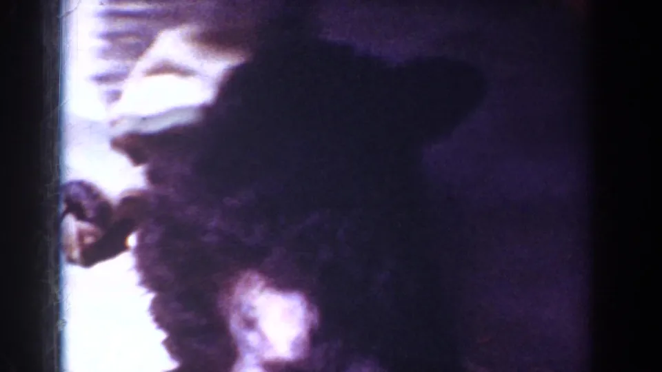 Grainy 1962 Yorba Linda 8mm frame showing a shadowy cat form near a bright background, with an indistinct possible human feature nearby.