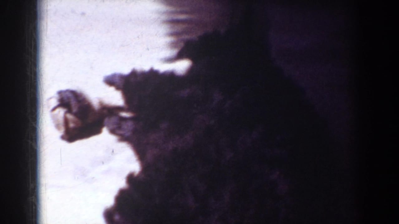 Yorba Linda 1962 home-movie frame showing a small dark dog moving near a bright patio edge with strong shadow and soft 8mm focus.