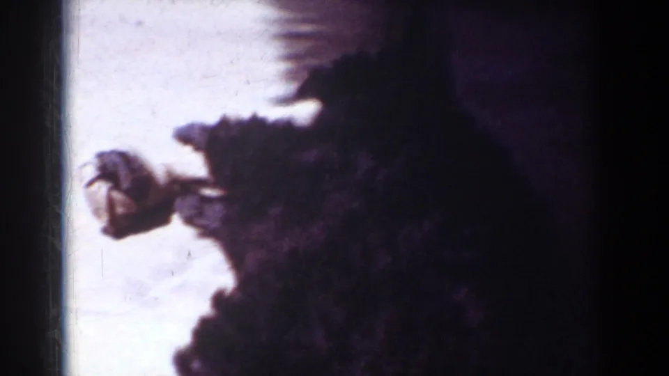 Yorba Linda 1962 home-movie frame showing a small dark dog moving near a bright patio edge with strong shadow and soft 8mm focus.