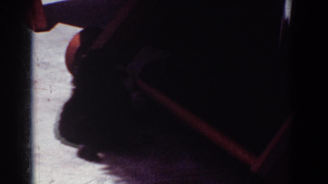 Dark outline of a small dog under or beside furniture.