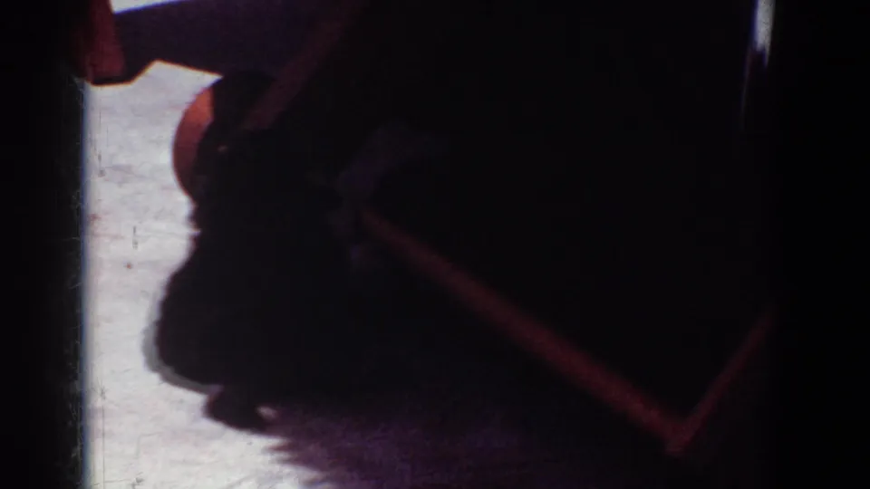 A small dog is mostly in shadow under or beside furniture in the Yorba Linda home interior.