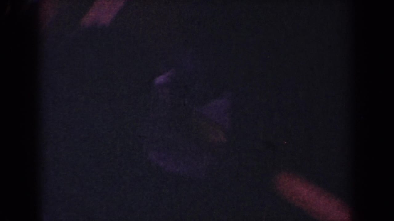 Dark, grainy frame with a dog shape partly visible near reddish highlights.