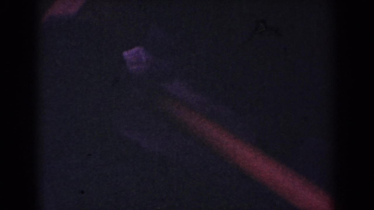 Low-exposure 8mm frame from Yorba Linda showing a partial dog form moving through a dark interior.