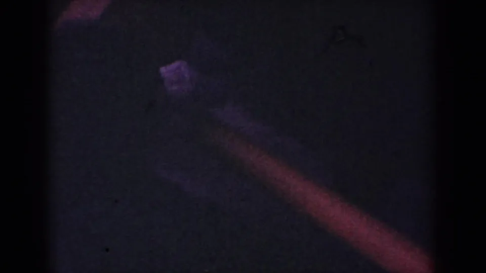 Low-exposure 8mm frame from Yorba Linda showing a partial dog form moving through a dark interior.