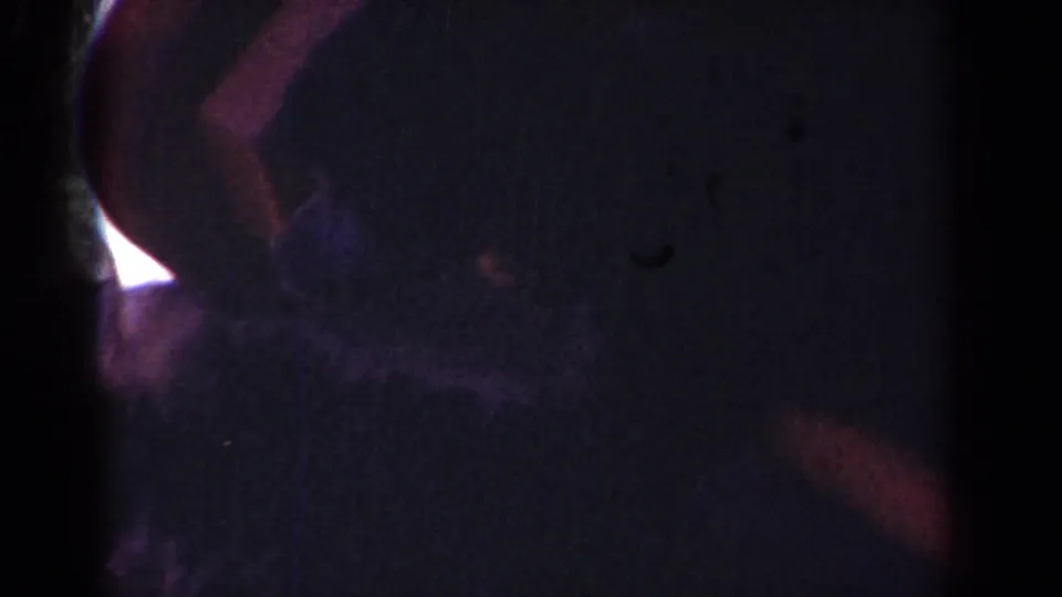 Final low-light Yorba Linda frame showing the dog near a small bright flare and red reflected shapes.