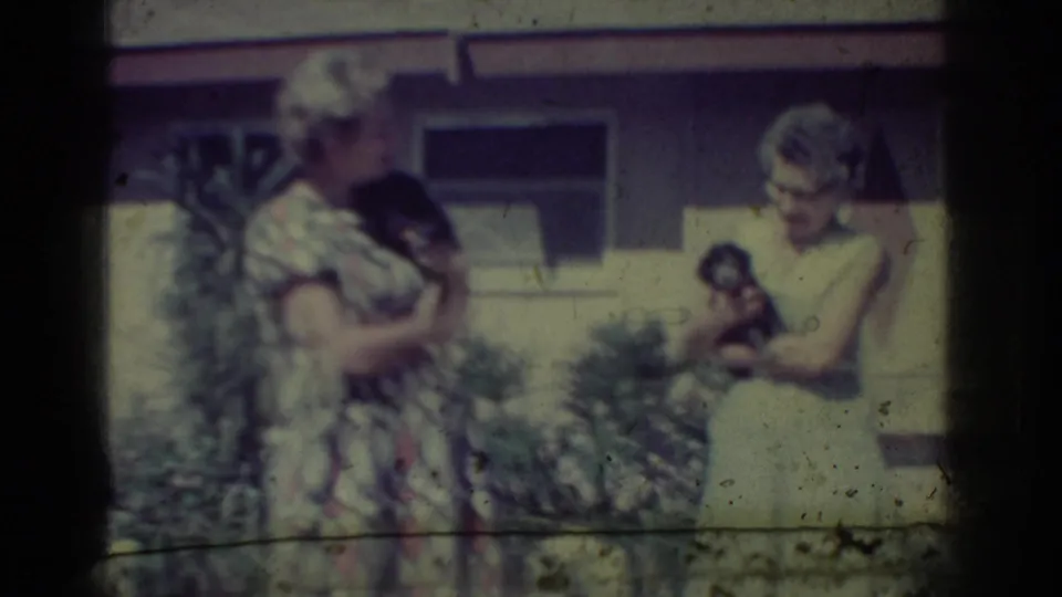 Two women continue holding puppies outdoors in the supplied 1962 Yorba Linda home-movie scene, with soft focus and faded 8mm color.
