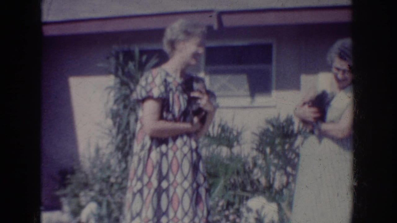 A woman in a patterned dress faces another woman in glasses as both hold puppies outdoors.