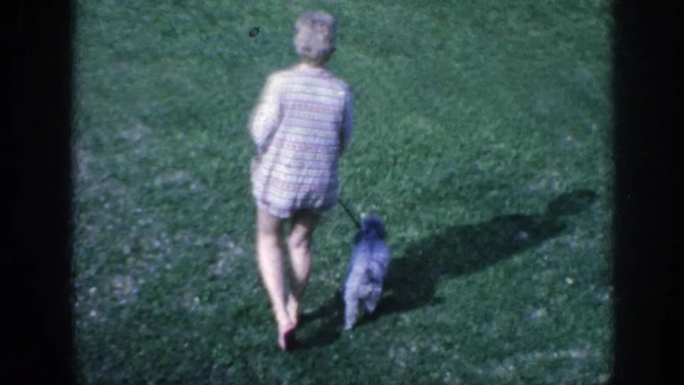 1963 Memphis-area poolside lawn view showing a woman from behind as she leads a small poodle on a leash across the grass.