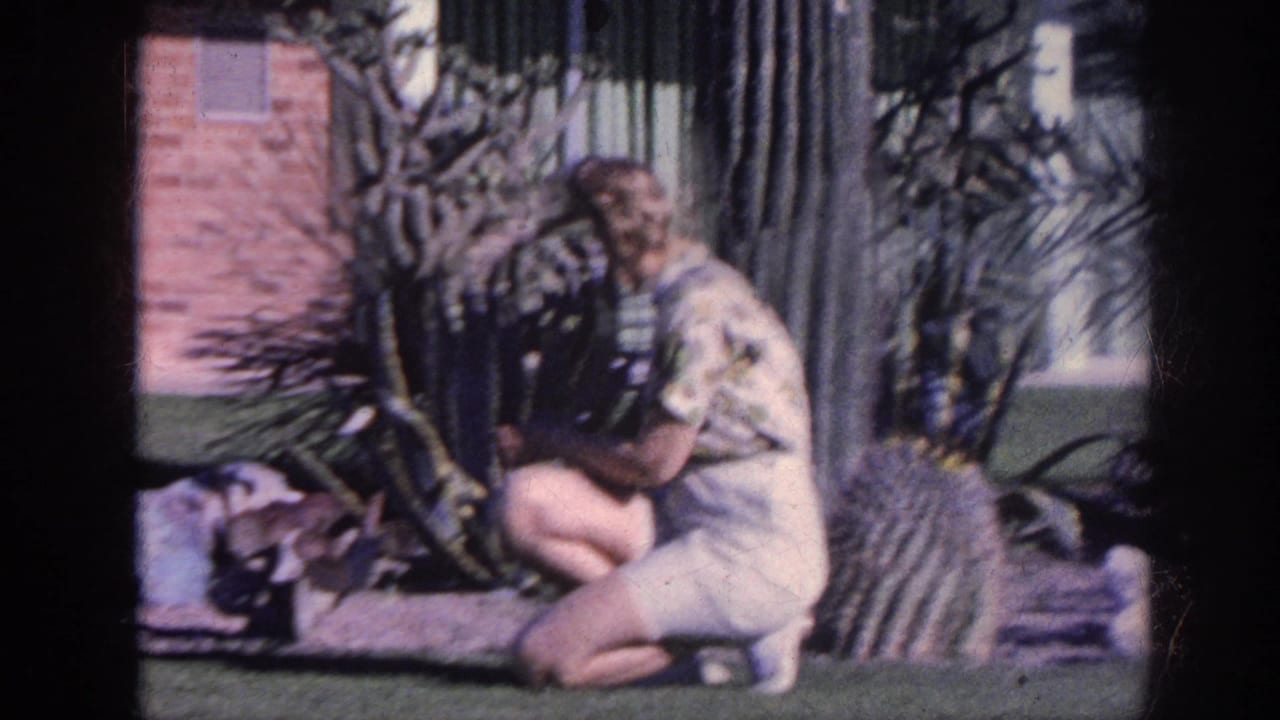 Woman kneels beside cactus and appears to reach toward a small animal near the plants.