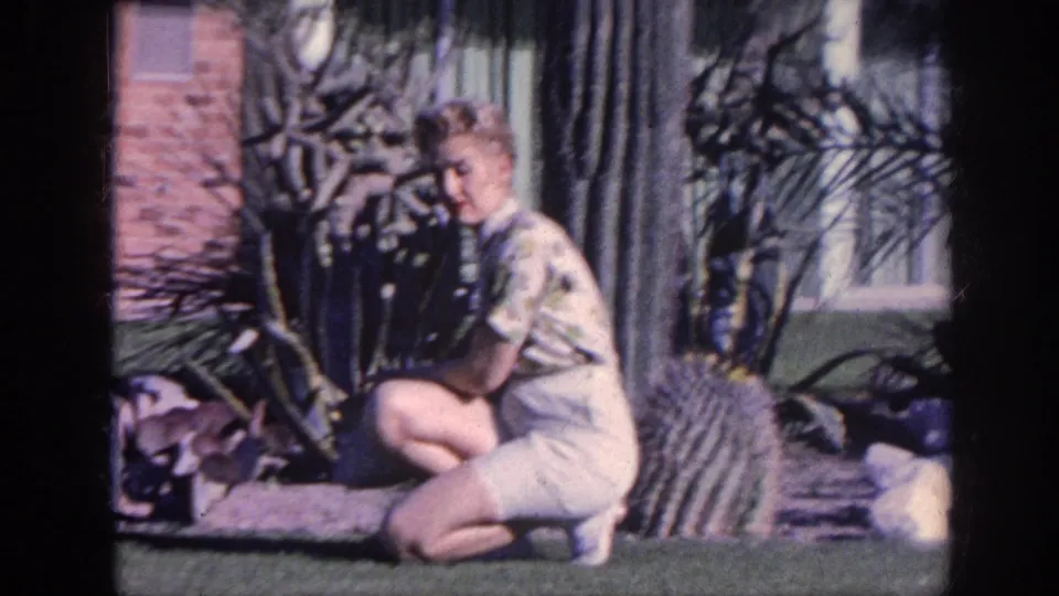 A woman in 1960s casual clothing crouches beside cactus and looks toward the camera in a sunlit Memphis front yard.