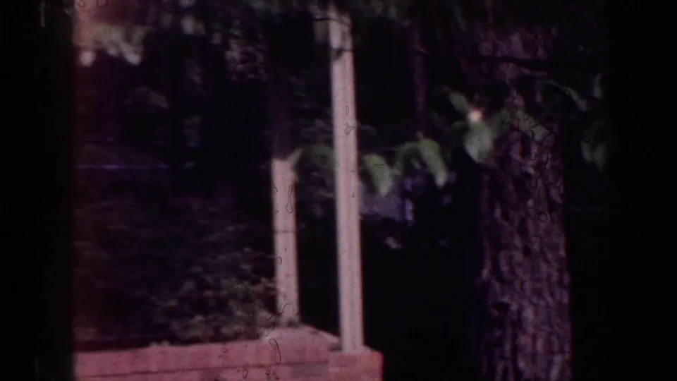 Brief roadside transitional frame showing mature trees and a brick pillar filmed from a moving vehicle, circa 1963; heavy shadow and dark exposure throughout.