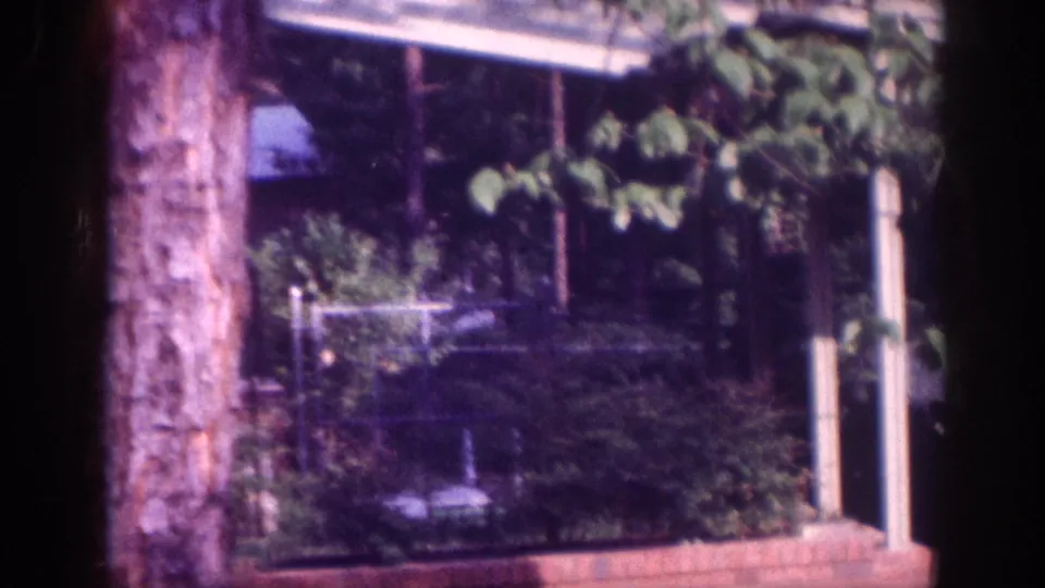Residential streetscape circa 1963 showing mature trees, garden vegetation, and a mid-century structure; pronounced magenta colour shift from film aging is visible throughout.