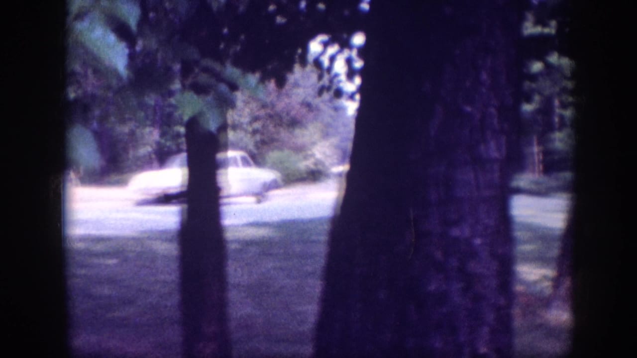 White sedan viewed through tree trunks beside a paved surface in a wooded setting.