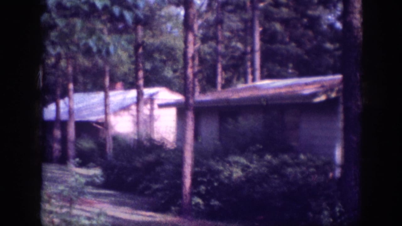 Same low building with wide roof viewed through pine trees; sunlit roof visible above shrubs and undergrowth, purple-tinted 8mm stock.