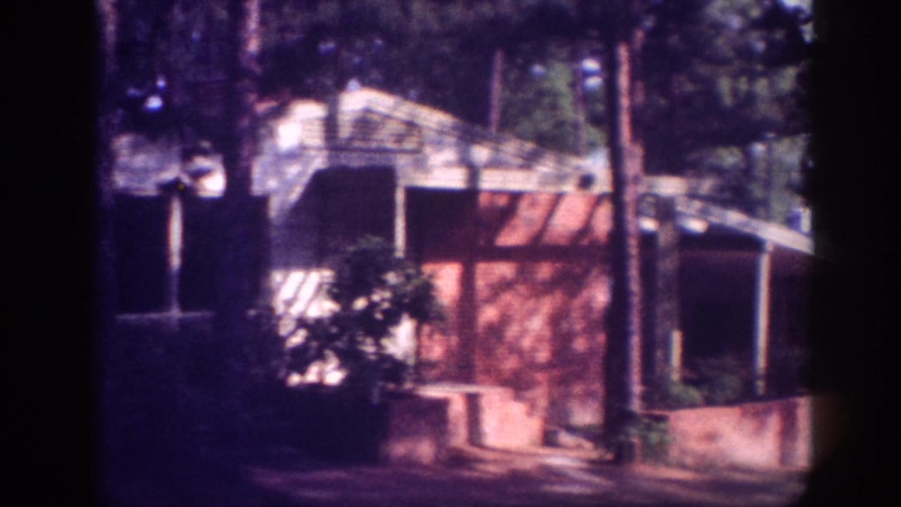 Red brick ranch-style house with covered carport and surrounding pines, filmed on 8mm color stock circa 1963, possibly Memphis Tennessee.