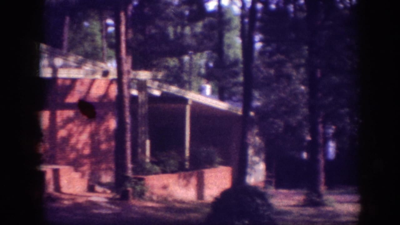 Red brick house with covered roof structure partially visible through foreground pine trunks, mid-pan shot.