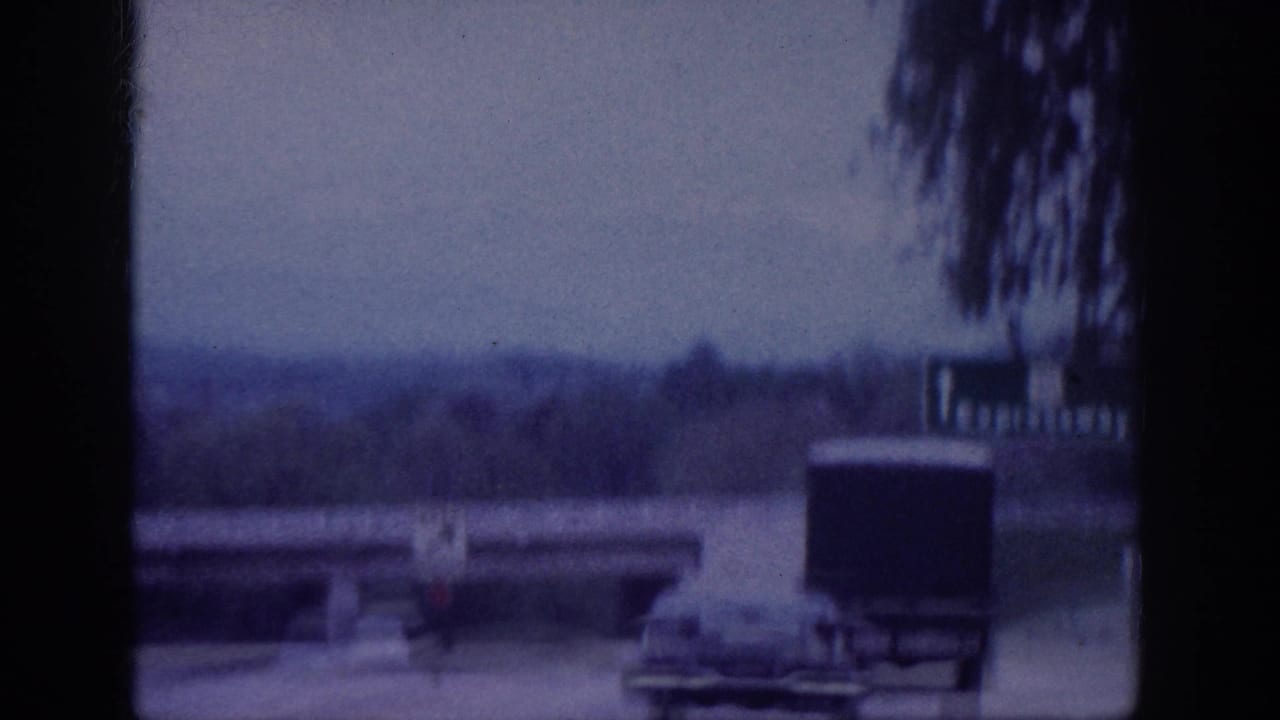 Box truck and sedan on a highway beneath a concrete overpass, trees at upper frame edge, overcast sky.