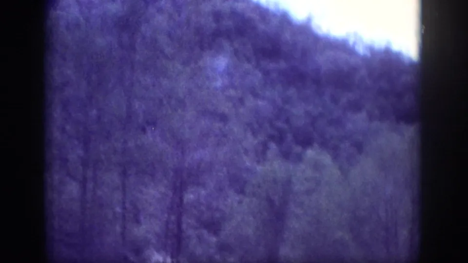 Aged 8mm home-movie frame circa 1963, showing a dense forest hillside under a strong purple dye-shift, Tennessee area.