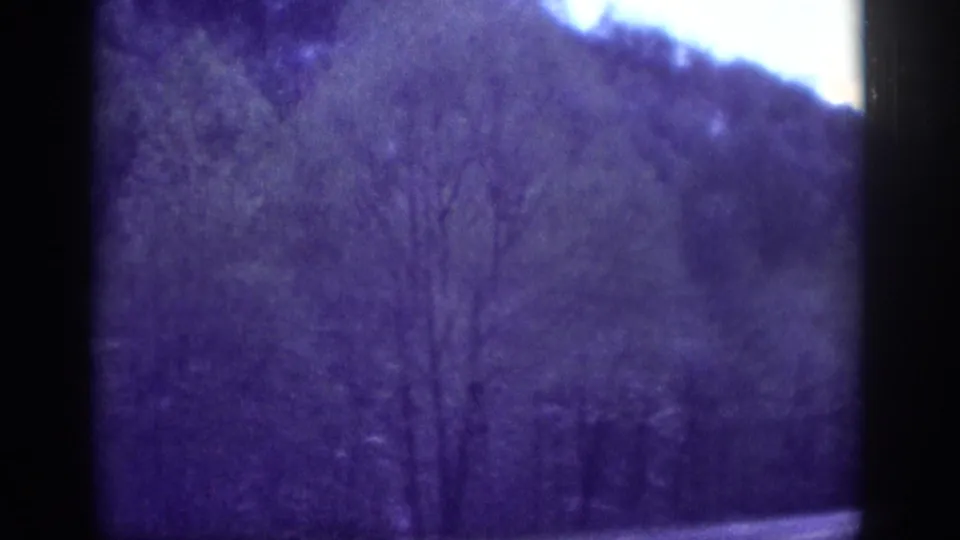 Aged 8mm home-movie frame circa 1963 in the Tennessee area, showing a wooded hillside with mixed canopy under a persistent purple dye-shift.