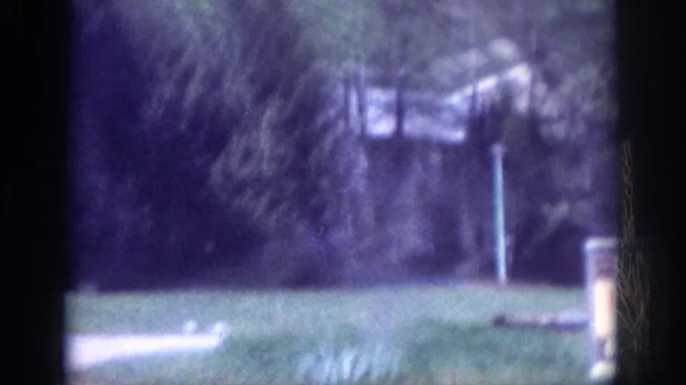In-transit 8mm frame circa 1963, possibly Memphis area: blurred street scene with tree line, green grass, and a roadside sign post, severe motion blur and purple film shift.