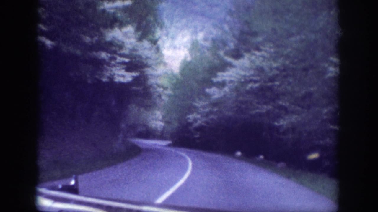 POV driving shot on a winding forest road, overexposed sky patch visible through tree canopy, purple-blue 8mm color cast.