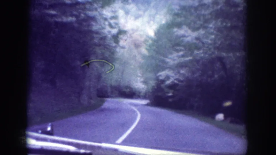POV car drive through dense forest on 8mm film circa 1963; blown highlights at canopy gap and a visible film-gate debris artifact mid-frame left, purple-blue color cast.