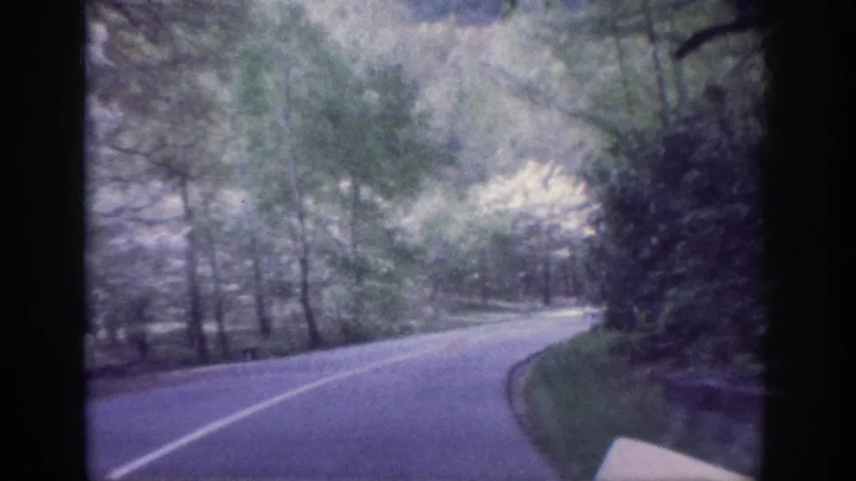 POV car driving shot on winding tree-lined road, 8mm circa 1963, Memphis Tennessee area; color shifts to cooler gray-green compared to earlier frames, guardrail visible at lower right.