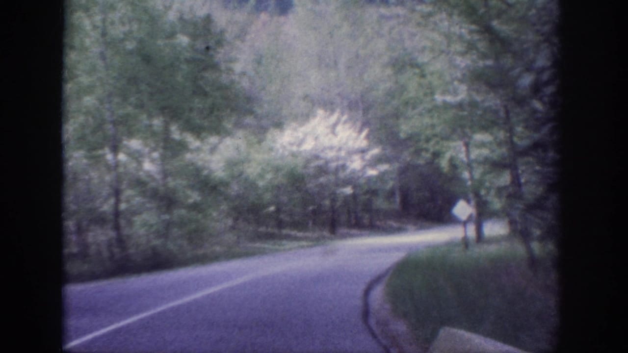 8mm home movie, circa 1963, Memphis Tennessee: winding forested two-lane road with a white diamond warning sign viewed through a vehicle windshield.