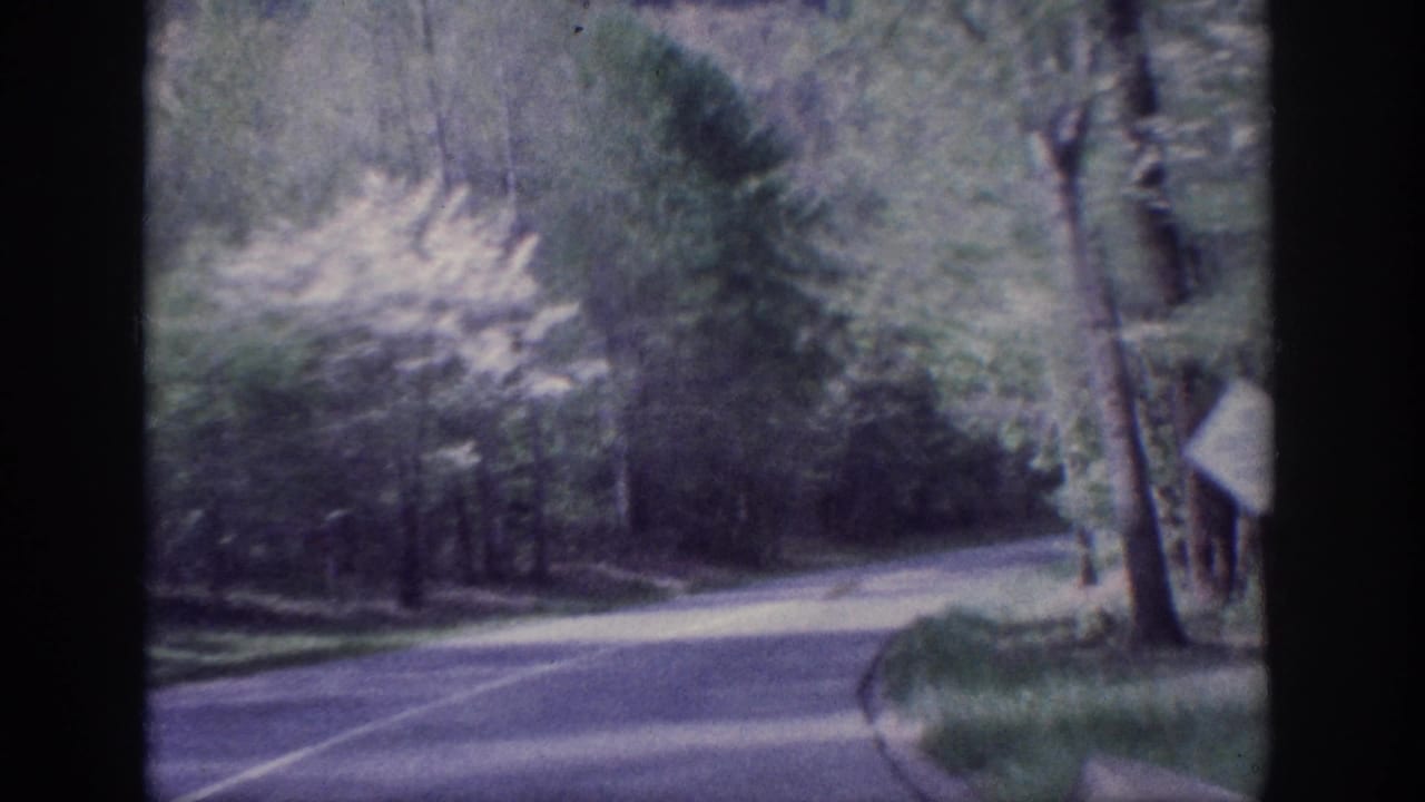 Tree-lined two-lane road curves through dense forest, partial road sign visible at right edge, view from inside a moving vehicle.