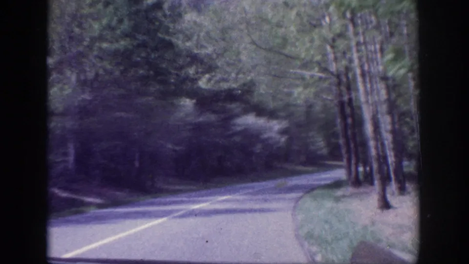 Driver's-eye 8mm view of tall pines flanking a rural two-lane road with a yellow centerline, consistent with early-1960s American road footage.